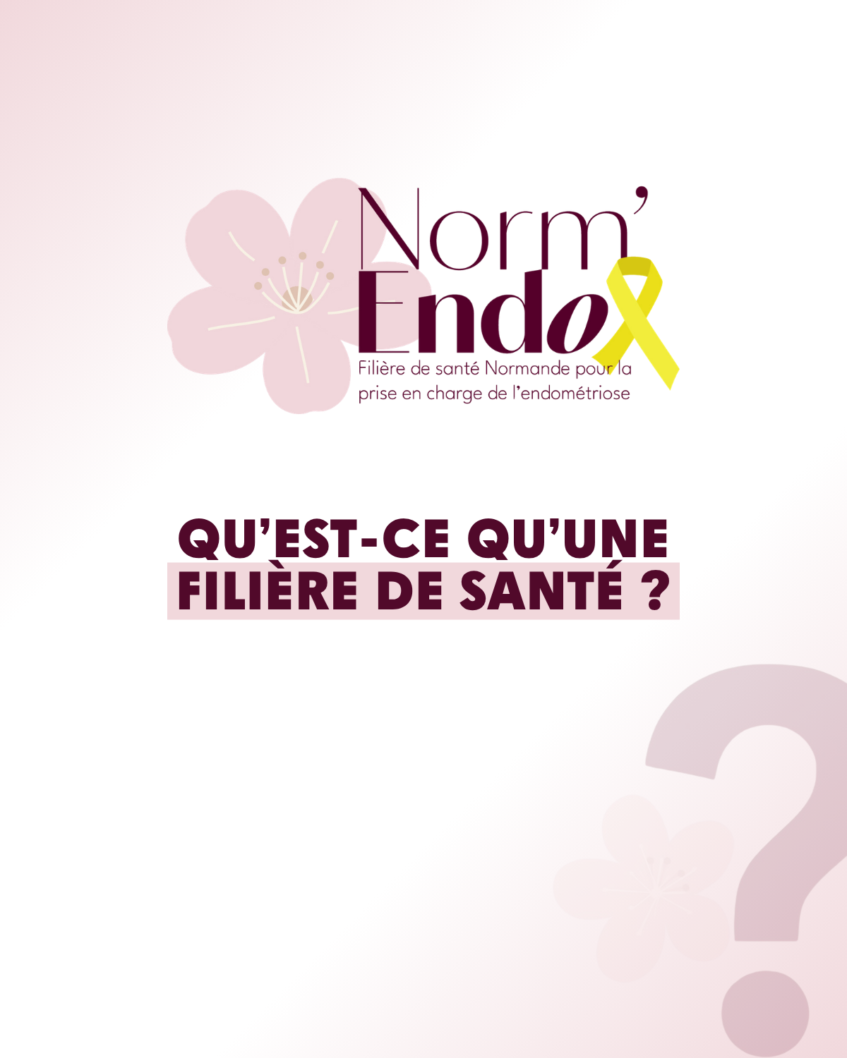 Norm'endo_qu'est-ce qu'une filière de santé (Carrousel) 1
