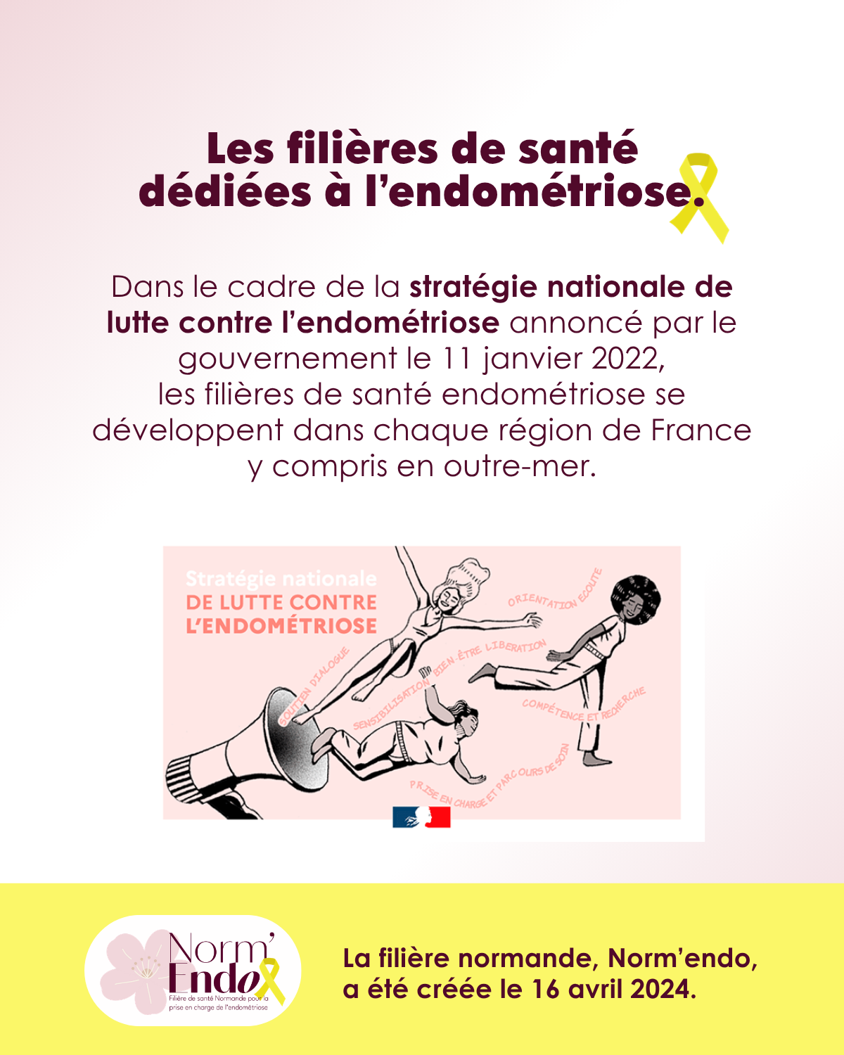 Norm'endo_qu'est-ce qu'une filière de santé (Carrousel) 3