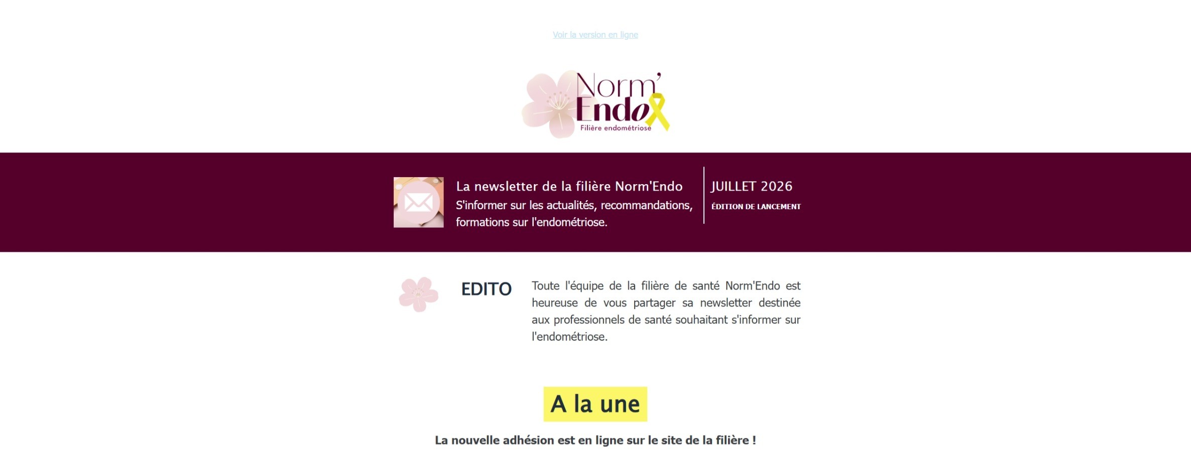 Image_Newsletter Norm'Endo - Edition de lancement Juillet 2026 Ent&ecirc;te