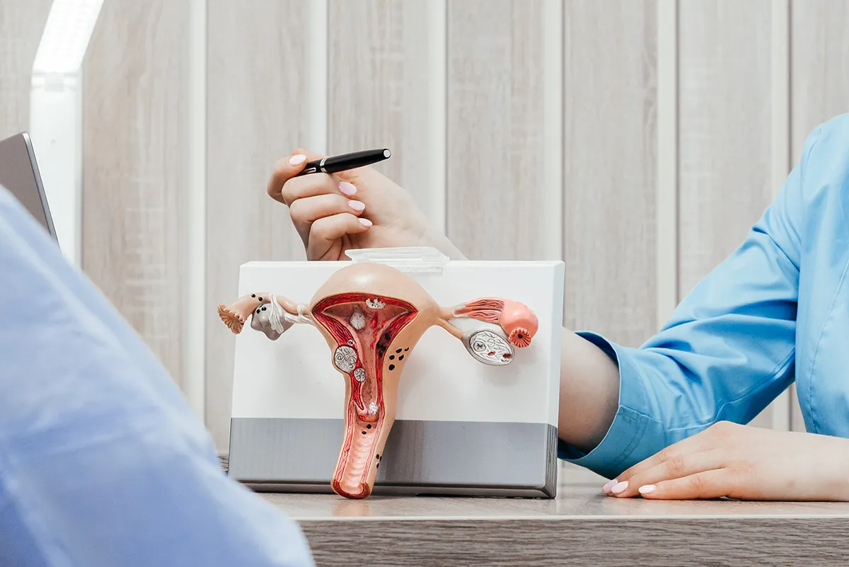 Professionnel de sant&eacute; pr&eacute;sentant un mod&egrave;le anatomique de l&rsquo;appareil reproducteur f&eacute;minin pour expliquer une pathologie gyn&eacute;cologique ou un traitement lors d&rsquo;une consultation m&eacute;dicale