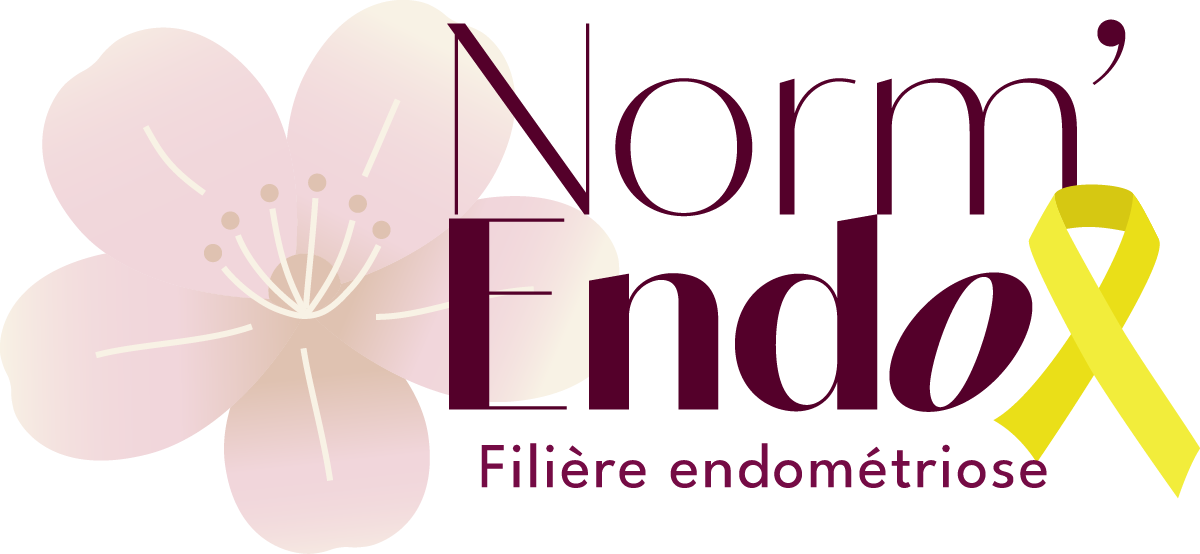logo Norm'Endo